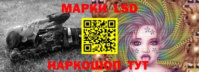 гидропоника Кингисепп