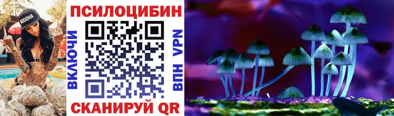 Псилоцибиновые грибы мухоморы  купить наркоту  Тихвин 