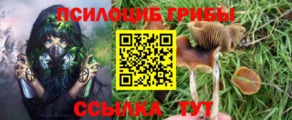 Тихвин  закладка  Вход с VPN  Псилоцибиновые грибы MAGIC MUSHROOMS  Галлюциногенные грибы Magic Shrooms 