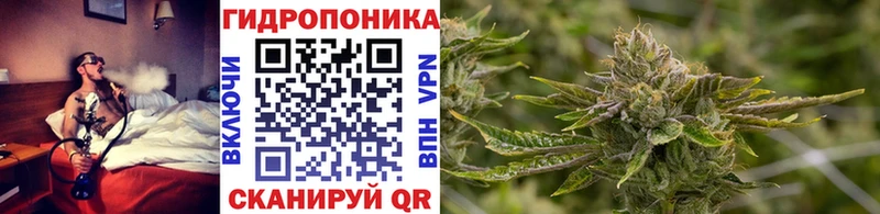 Конопля ГИДРОПОН  цены   Тихвин 